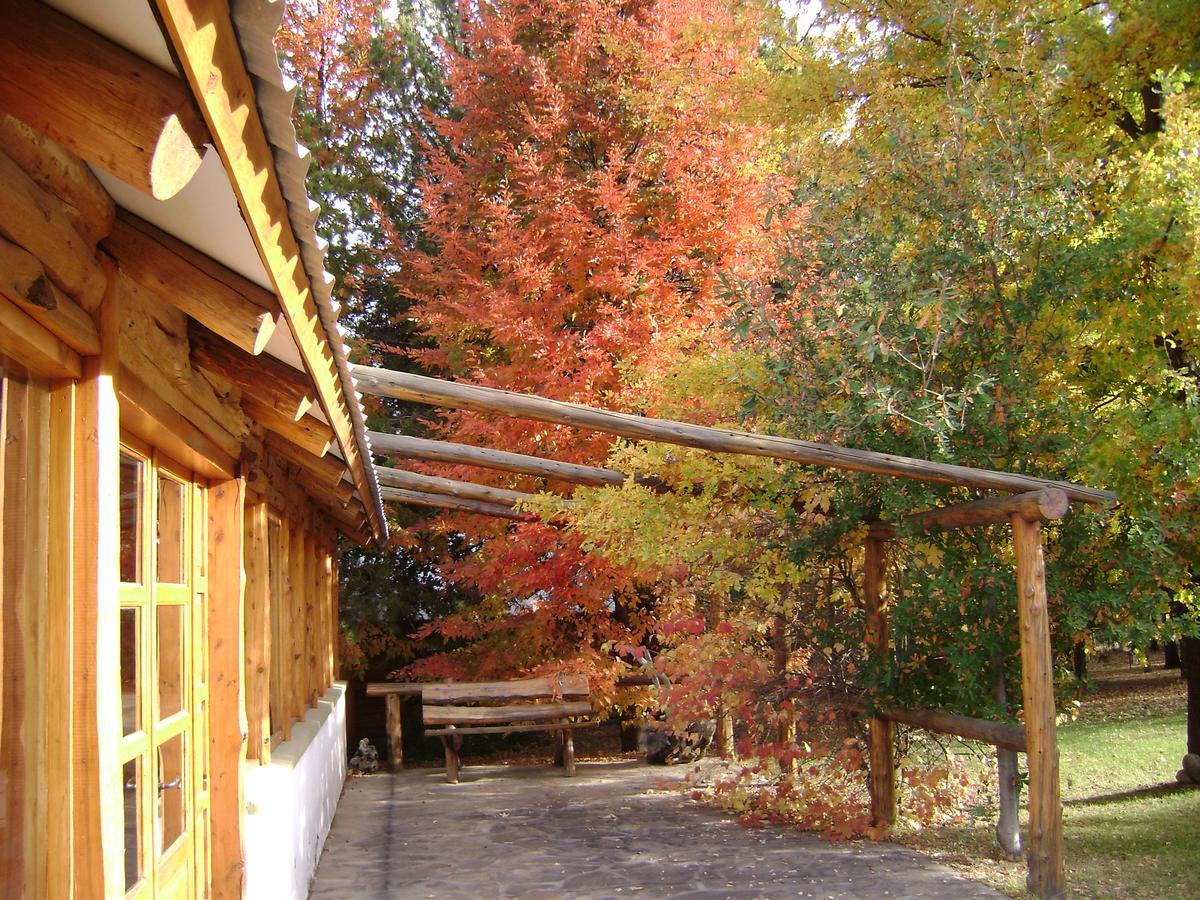 Chalet Complejo La Cautiva *